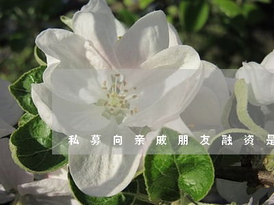私募向亲戚朋友融资是否违法 私募向亲戚朋友融资是否违法