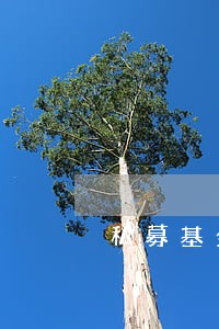 私募基金的法律顾问条件 私募基金的法律顾问条件