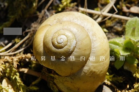 私募基金违约跑路逾期 私募基金违约跑路逾期