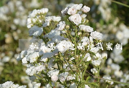私募基金逾期仲裁案例 私募基金逾期仲裁案例