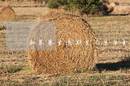 私募基金逾期是不是本金难保 私募基金逾期是不是本金难保