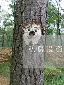 私募投资基金法律意见书