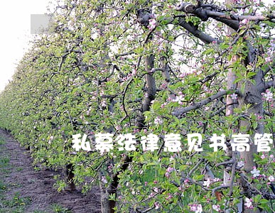 私募法律意见书高管经理
