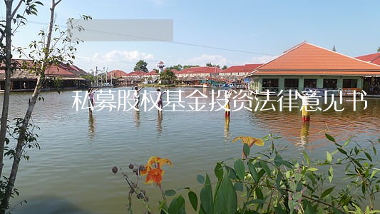 私募股权基金投资法律意见书 私募股权基金投资法律意见书
