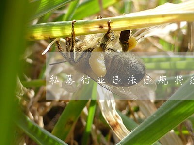 私募行业违法违规将遭清理 私募行业违法违规将遭清理