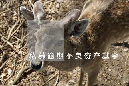 私募逾期不良资产基金 私募逾期不良资产基金
