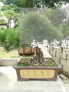 私募逾期仲裁 私募逾期仲裁