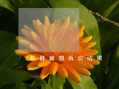 私募逾期诉讼结果 私募逾期诉讼结果