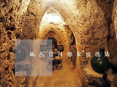 私占公共停车位违法