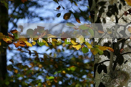 私售境外商品物可违法