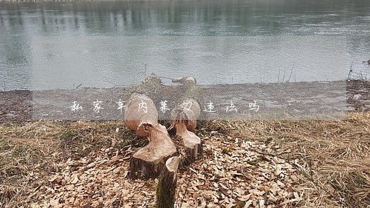 私家车内菜刀违法吗 私家车内菜刀违法吗