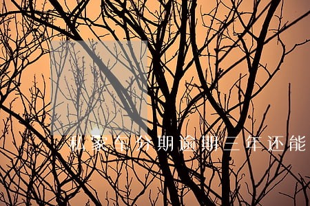 私家车分期逾期三年还能还吗 私家车分期逾期三年还能还吗