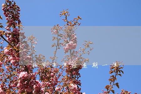 私家车年检逾期一年 私家车年检逾期一年