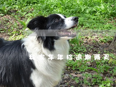 私家车年检逾期两天 私家车年检逾期两天