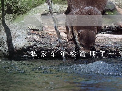 私家车年检逾期了一年半 私家车年检逾期了一年半
