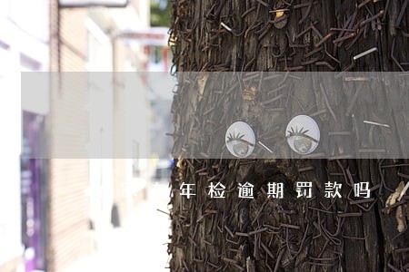 私家车年检逾期罚款吗 私家车年检逾期罚款吗