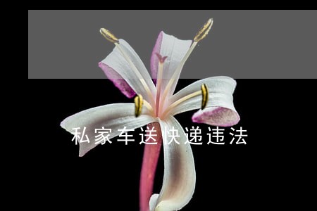 私家车送快递违法 私家车送快递违法