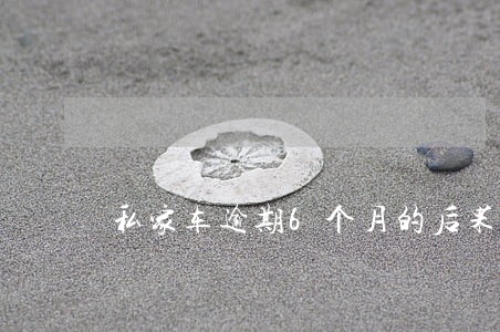私家车逾期6个月的后果 私家车逾期6个月的后果