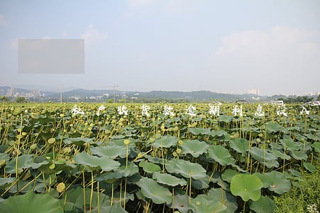私户收货款逾期利息没入账 私户收货款逾期利息没入账
