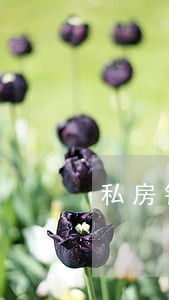 私房钱包逾期怎么处理 私房钱包逾期怎么处理