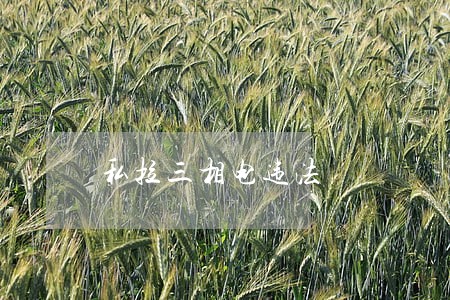 私拉三相电违法 私拉三相电违法