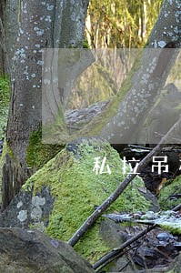 私拉吊机违法冯总 私拉吊机违法冯总