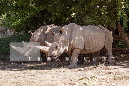 私拍他人照片是否违法 私拍他人照片是否违法