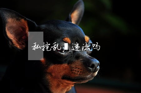 私挖乱採违法吗 私挖乱採违法吗