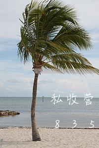 私收营业额算不算违法/2023020183527 私收营业额算不算违法/2023020183527