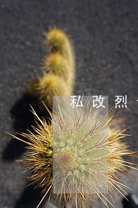 私改烈士碑文违法吗 私改烈士碑文违法吗