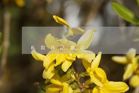 私教违法规定 私教违法规定