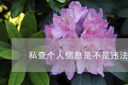 私查个人信息是不是违法