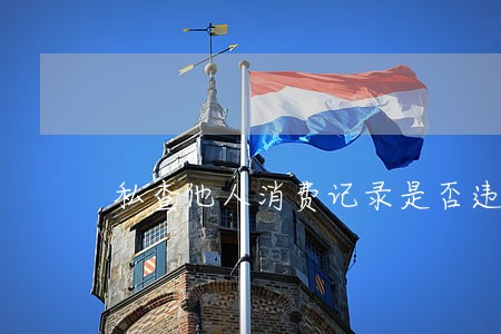 私查他人消费记录是否违法 私查他人消费记录是否违法