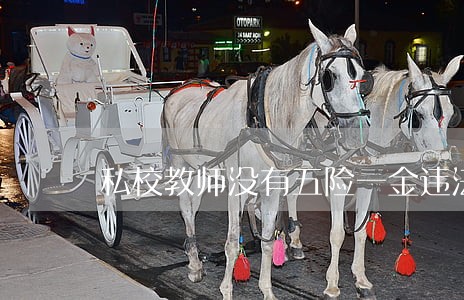 私校教师没有五险一金违法吗 私校教师没有五险一金违法吗