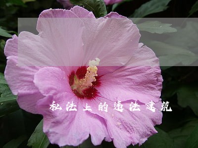 私法上的违法建筑 私法上的违法建筑