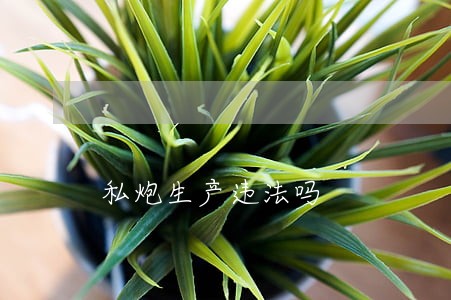 私炮生产违法吗 私炮生产违法吗