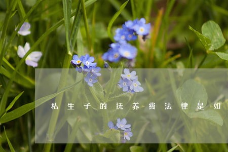 私生子的抚养费法律是如何规定 私生子的抚养费法律是如何规定