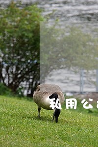 私用公司公章是否违法 私用公司公章是否违法