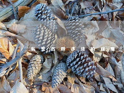 私签合同违法的程度 私签合同违法的程度
