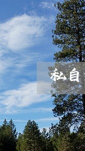 私自伪造公司印章借款逾期 私自伪造公司印章借款逾期