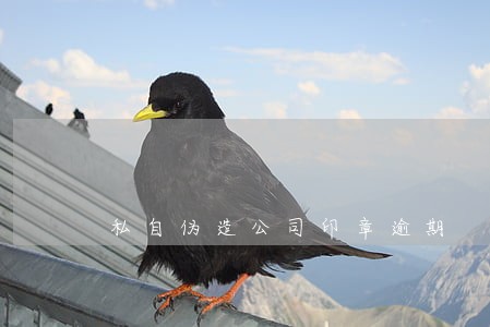 私自伪造公司印章逾期 私自伪造公司印章逾期