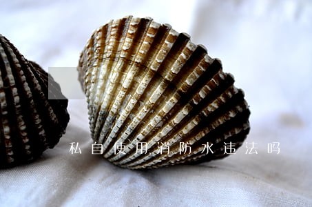 私自使用消防水违法吗 私自使用消防水违法吗