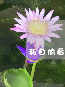私自偷看别人的电子邮件违法吗 私自偷看别人的电子邮件违法吗
