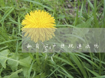 私自公户提现违法吗 私自公户提现违法吗