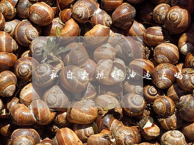 私自卖燃料油违法吗