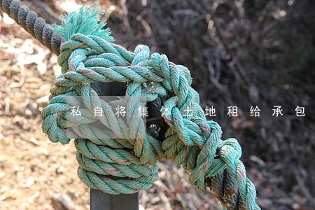 私自将集体土地租给承包方违法吗 私自将集体土地租给承包方违法吗