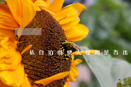 私自拍摄他人视频是否违法 私自拍摄他人视频是否违法