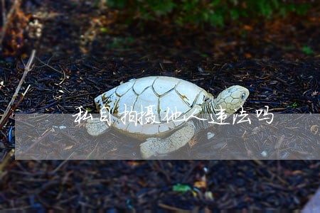 私自拍摄他人违法吗