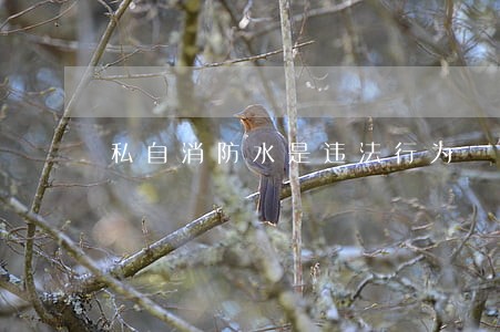 私自消防水是违法行为