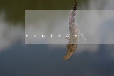 私自翻译违法吗 私自翻译违法吗